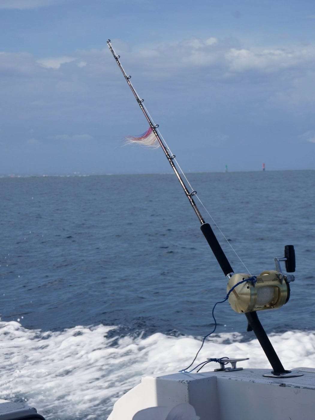 Fishing trip