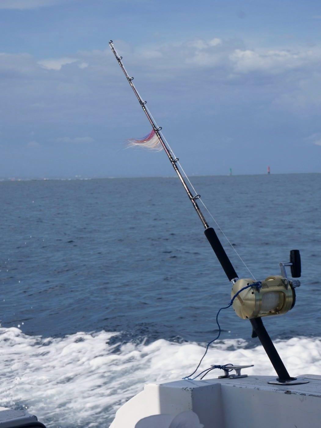 Fresh catch on a fishing charter in Bali